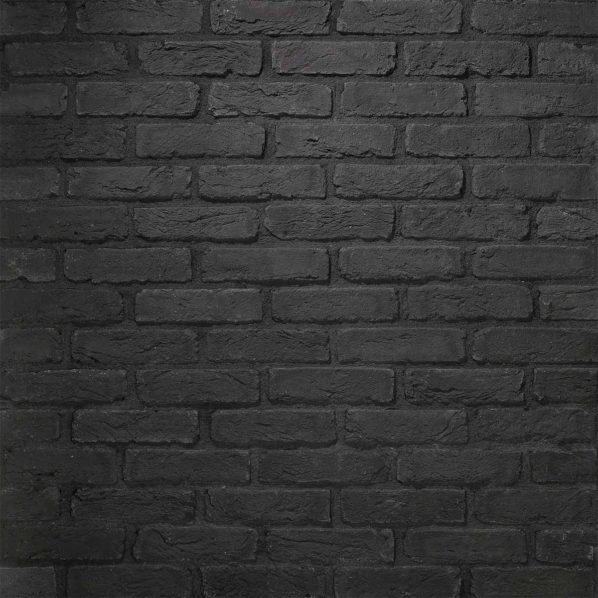 black and white photo of a thin brick wall